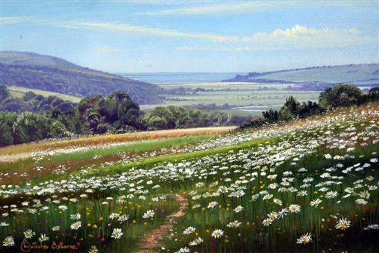 Christopher Osborne (b.1947) Above Cuckmere Vale and Summer Meadows 8 x 12in.